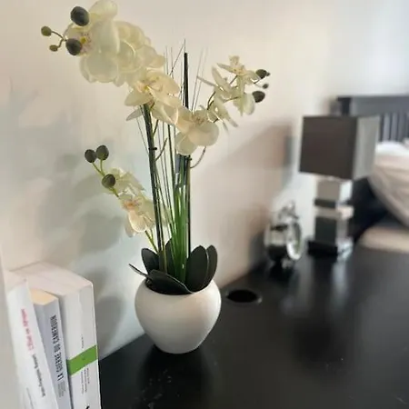 Cosy-rent Tv Wifi Parking Apartment Strasbourg