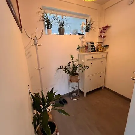 Cosy-rent Tv Wifi Parking * Strasburgo